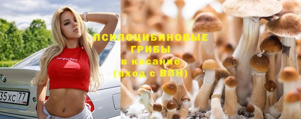 СК Карпинск